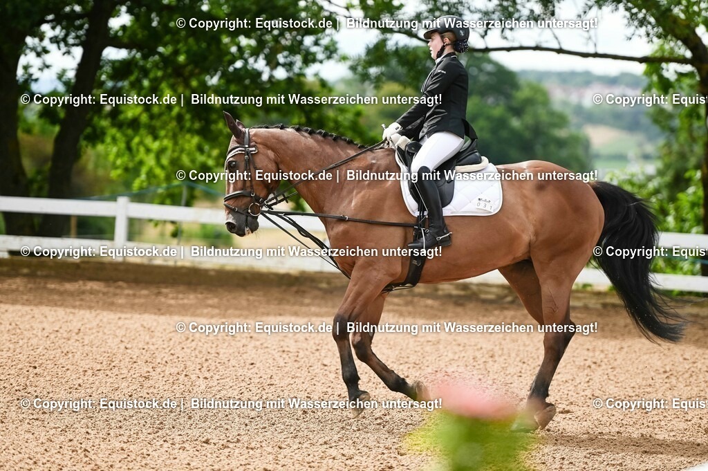 20230716_10-1_Reiter-WB Schritt - Trab - Galopp_0098 | equistock