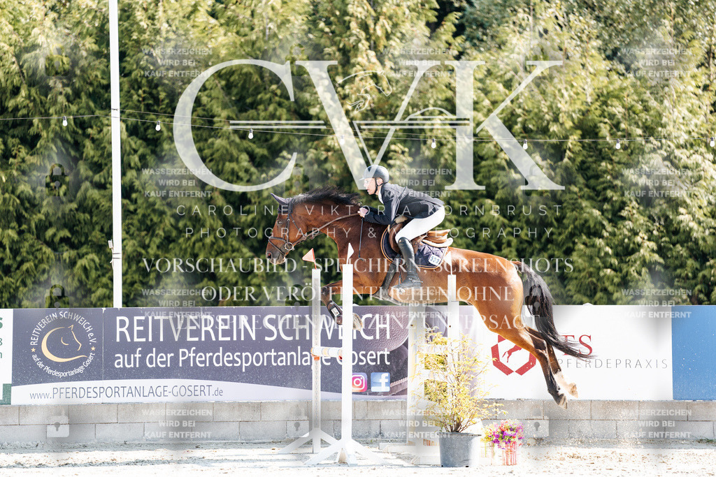 CK902436 | Turnierfotografie Pferdefotografie Trier Rheinland-Pfalz Pferdesport Reitsport Tierfotografie Sportfotografie Pferdevideo Pferdevideografie Equestrianvideography equestrianphotography  - Realisiert mit Pictrs.com