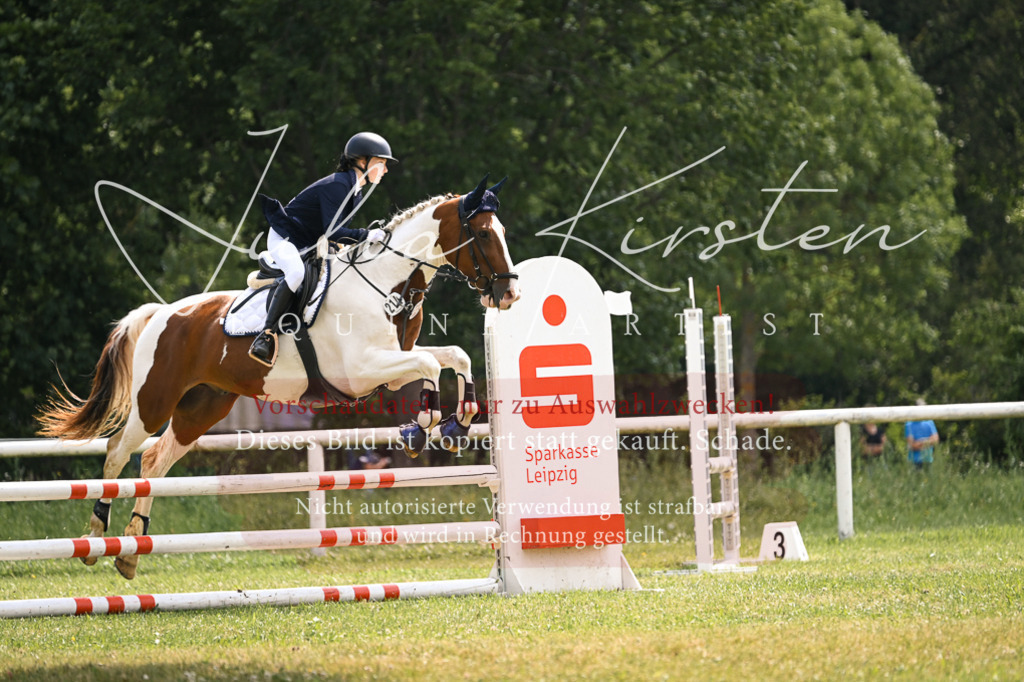 DSC_9065 | Pferde- und Turnierfotografie in Westsachsen. Pferdeportraits, Auftragszeichnungen und intuitive Kunst.