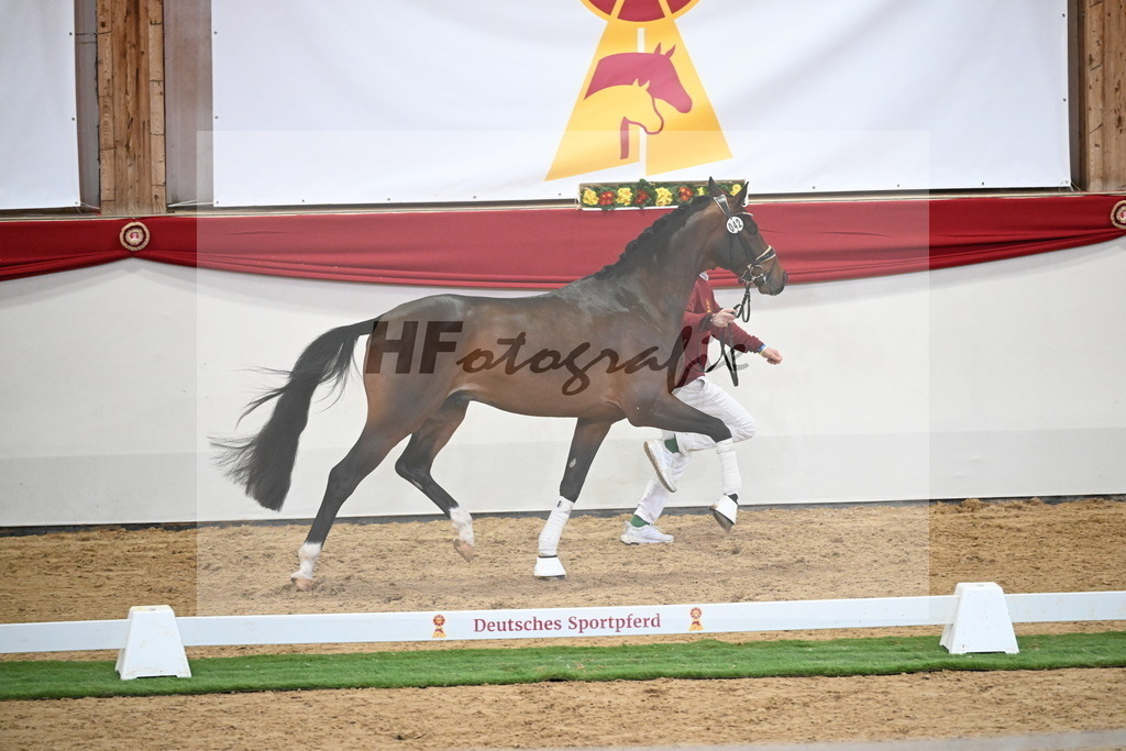Kat.-Nr. 42 v. Benicio_De Vittorio_2250035 | hf-fotografie - Realisiert mit Pictrs.com