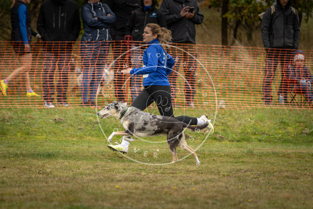 Pfotenfotografie_DV3A4286 | Hundefotografie, Tierfotograf, Pfotenfotografie, Fotoshooting Hund, Hunde Portrait, Hundesport, Hundeportraits, Heideshooting, Hunde, Sportfotograf, Hundefotograf, Turnierhundsport, THS,  - Realisiert mit Pictrs.com