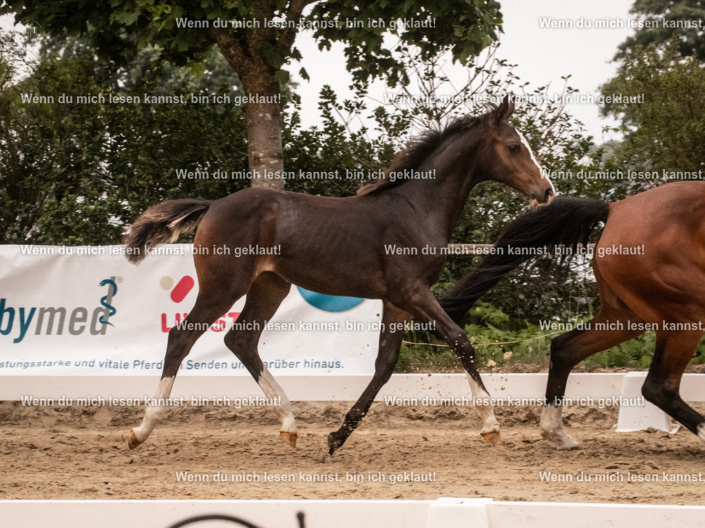 A10I4545 15.58.11 | photographylinaismer - Realisiert mit Pictrs.com