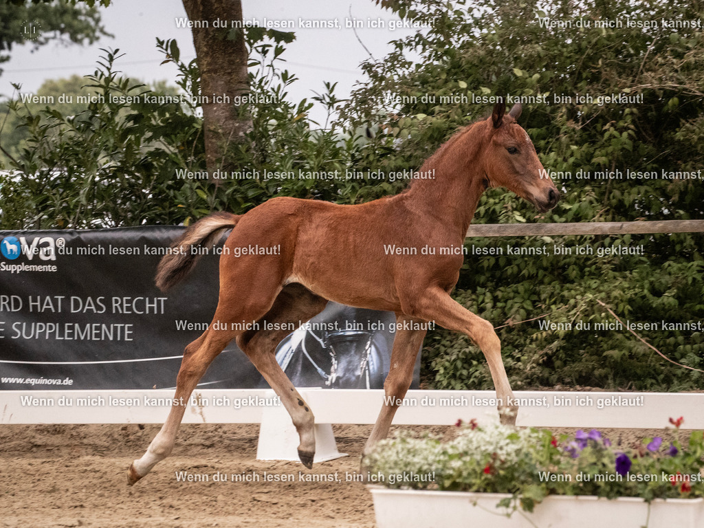 A10I6058 | photographylinaismer - Realisiert mit Pictrs.com