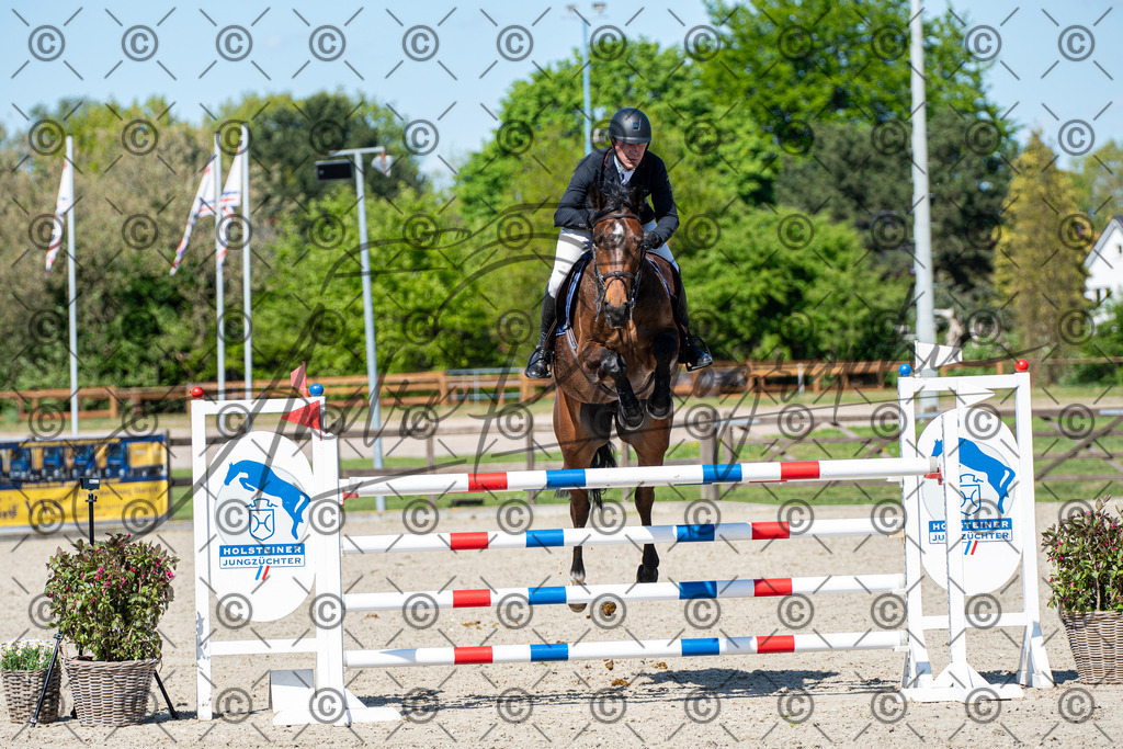 KPT_1311 | andre_photographic