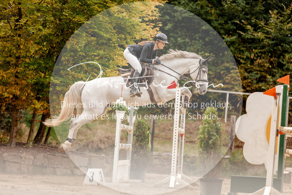 3I6A8124 | Stimmungsvolle Portraits und Reitsportfotografie im Ruhrgebiet und im Münsterland.

Pferdefotografie, Hundefotografie, Tierfotografie, Reportagen, Portraits von Tier und Mensch, Turnierfotografie in Bochum, Recklinghausen, Marl, Haltern am See, Dülmen.. - Realisiert mit Pictrs.com