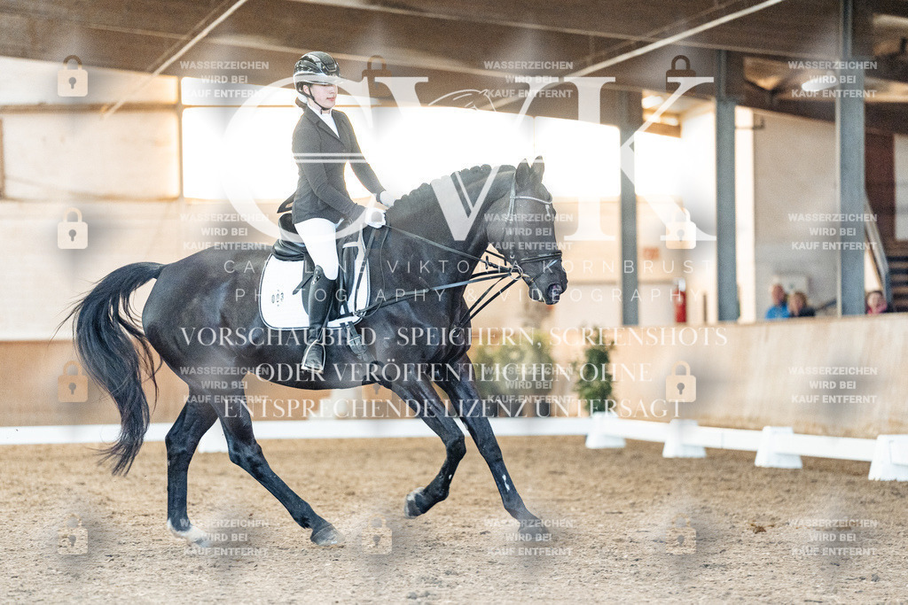 CK906978 | Turnierfotografie Pferdefotografie Trier Rheinland-Pfalz Pferdesport Reitsport Tierfotografie Sportfotografie Pferdevideo Pferdevideografie Equestrianvideography equestrianphotography  - Realisiert mit Pictrs.com