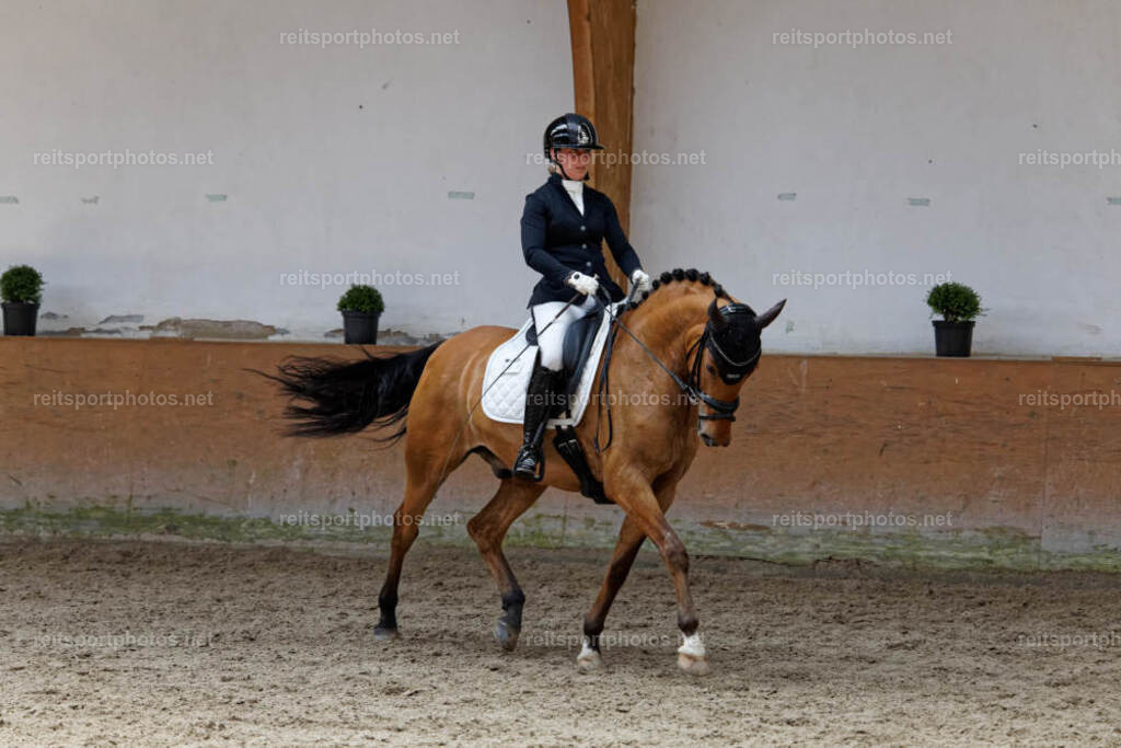 JHE33542 | JoYa Fotografie - Realisiert mit Pictrs.com