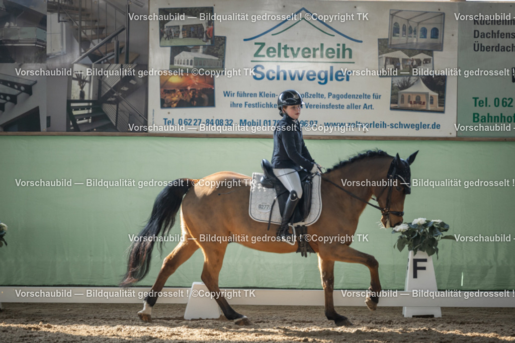 _D5A8557 | Emotionale Pferde- & People-Fotografie rund um Heidelberg, Leimen & Umgebung. Natürliche Fotos von Pferd, Mensch & Familie. Jetzt Termin sichern!