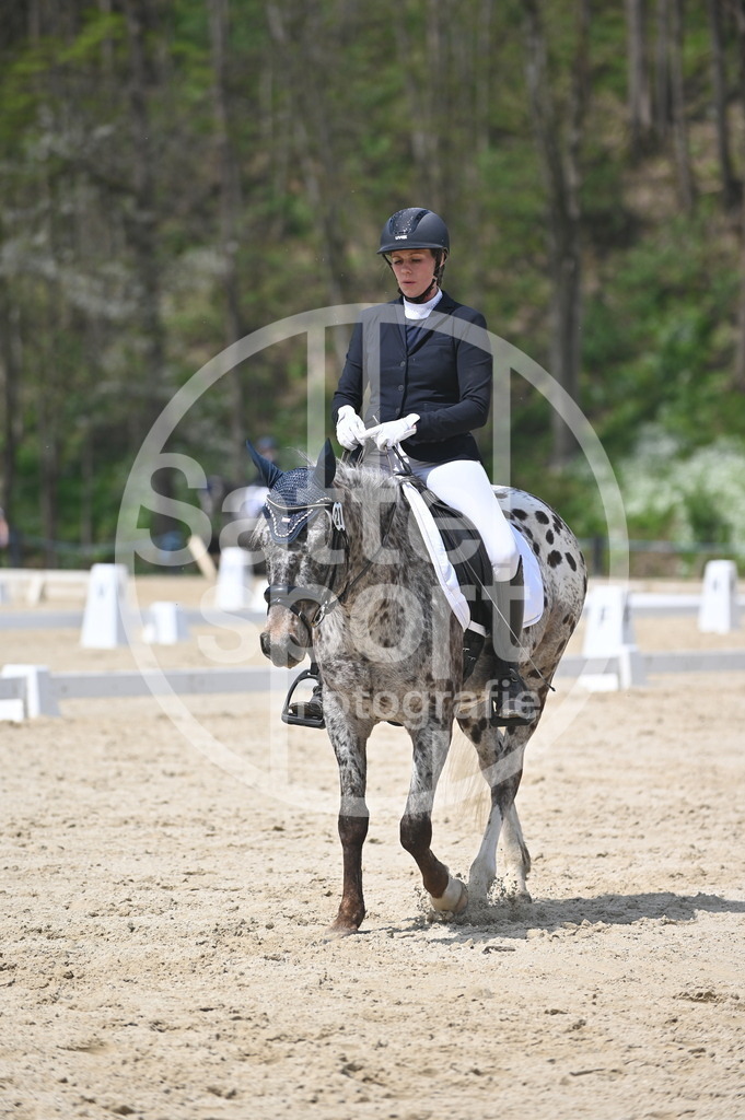 DSC_2321 | sattelsport - Realisiert mit Pictrs.com