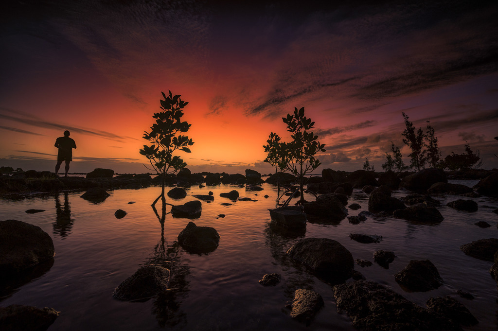 Schlussbouquet | Final Bouquet | Mangroven im Abendlicht.
Die Person im Bild störte mich zuerst, dann habe ich die Gelegenheit genutzt, sie in die Komposition einzubinden.
-----------------------------------------------------------------
Mangroves in the evening light.
The person in the picture bothered me at first, then I took the opportunity to include him in the composition.
-----------------------------------------------------------------
Dieser Druck ist in einer limitierten Auflage von 5 Exemplaren erhältlich. 
This print is available in a limited edition of 5 copies. 
http://art.hess.photography/143-schlussbouquet.html - Realisiert mit Pictrs.com
