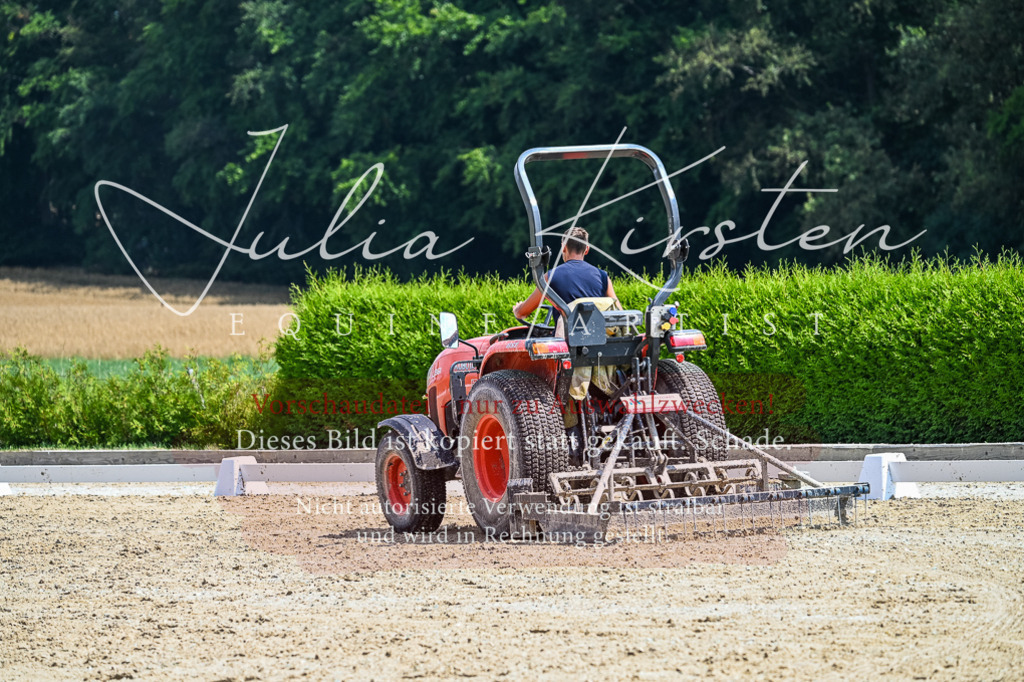 DSC_2680 | Pferde- und Turnierfotografie in Westsachsen. Pferdeportraits, Auftragszeichnungen und intuitive Kunst.