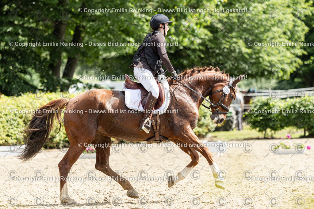 CL5A8117 | Emilia Reinking Fotografie - Realisiert mit Pictrs.com