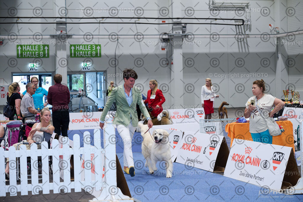 202406_ÖKV-IHA-Tulln24_NZ9_9598 | proPHOTO - Realisiert mit Pictrs.com