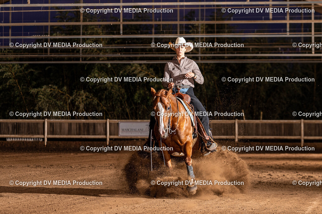 Erbach Tag 1-1334 | dv-media-shop - Realisiert mit Pictrs.com