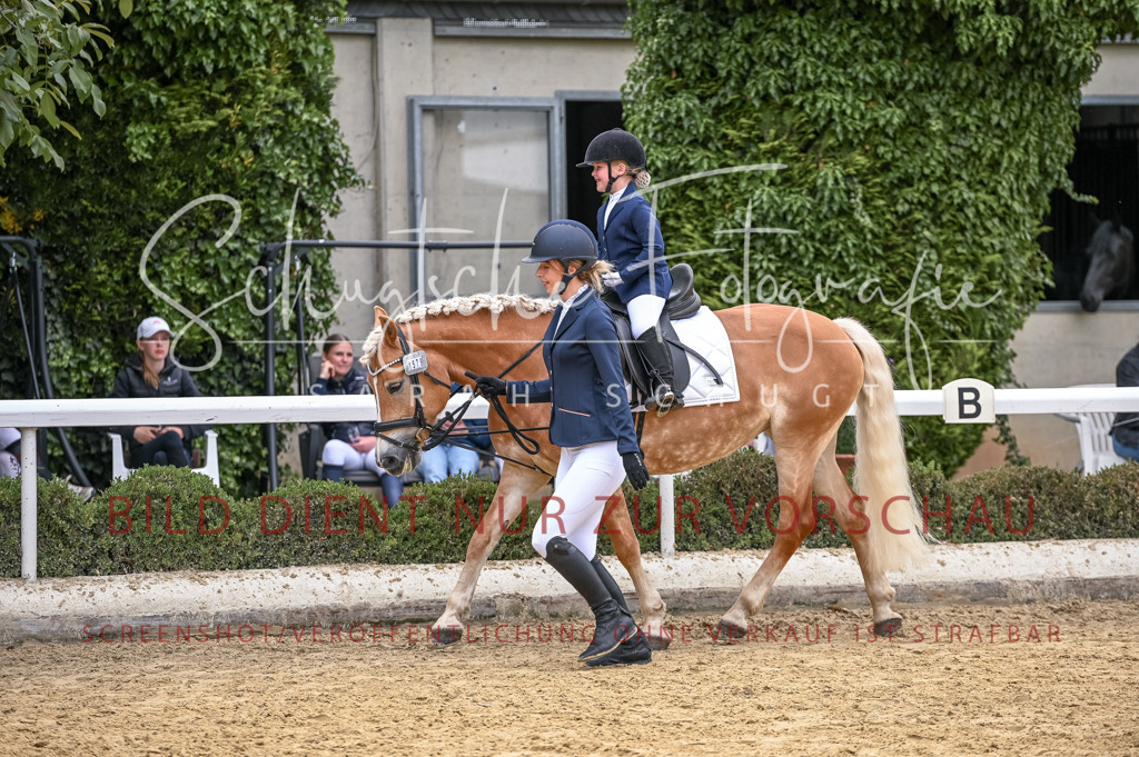 Schugtsche-Aluta25-45.FührzügelWB-39 | Schugtsche Fotografie - Realisiert mit Pictrs.com
