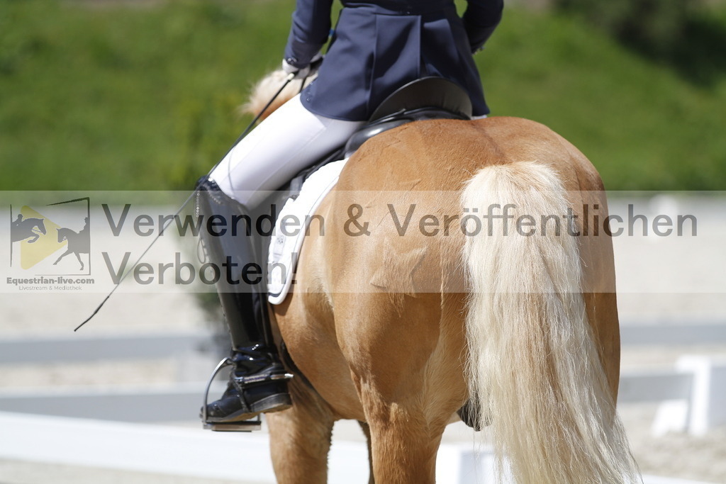 _MG_5180 | equestrian-live-com