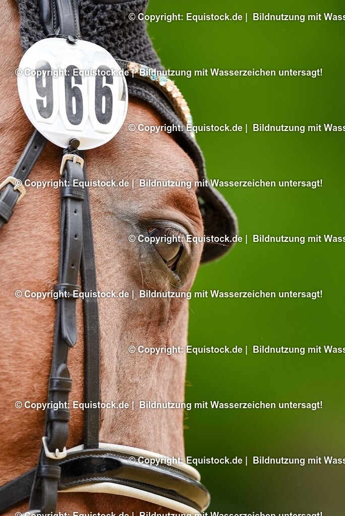 20250608_CVI-Masterclass_0558 | Foto: Thomas Hartig