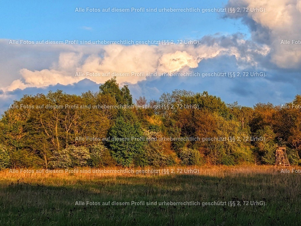 PXL_20240422_173410286-01 | krollfotografie - Realisiert mit Pictrs.com