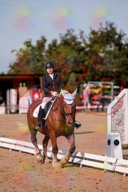 2026_10_03_Siefer-Hof_114138_Z81_84820624 | Professionelle Reitsport-, Turnier- und Eventfotografie von Robert Broda. Galerien mit ausgewählten und bearbeiteten Bildern direkt online ansehen und bestellen.
