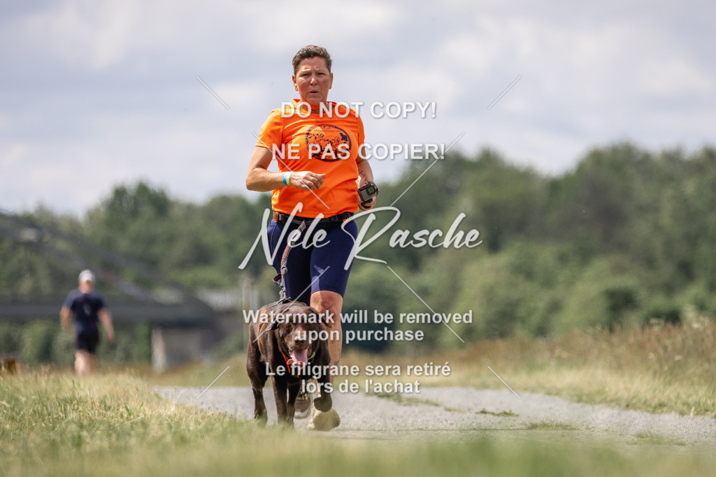 nelerasche_BuHu2026_SaCC1100-1200_182 | nelerasche
