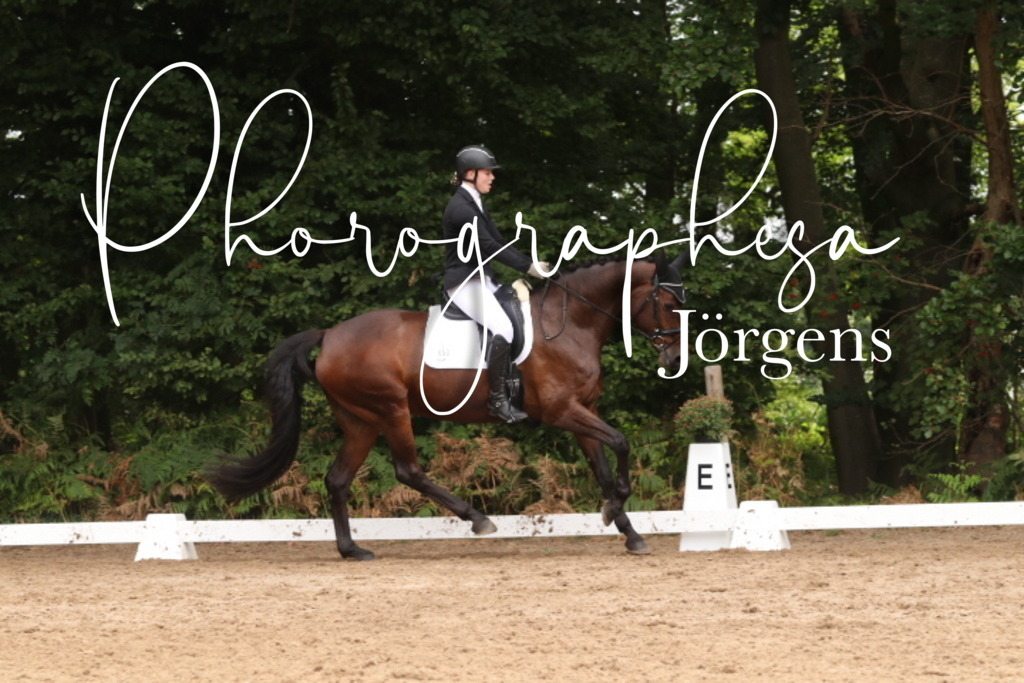 IMG_9697 | photographesa-joergens - Realisiert mit Pictrs.com