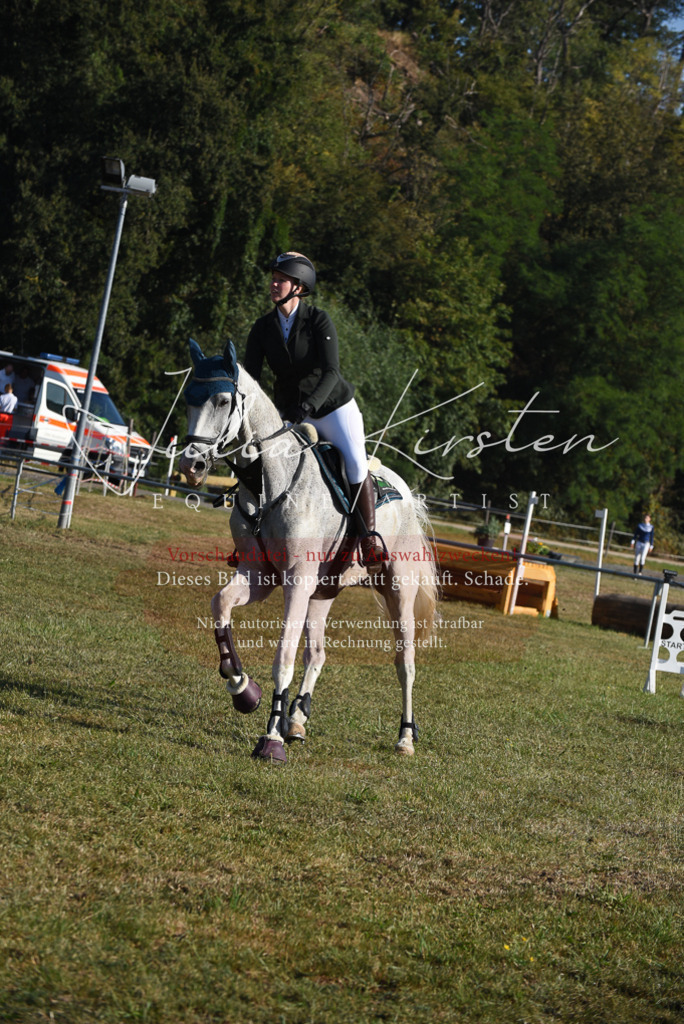 DSC_5212 | Pferde- und Turnierfotografie in Westsachsen. Pferdeportraits, Auftragszeichnungen und intuitive Kunst.