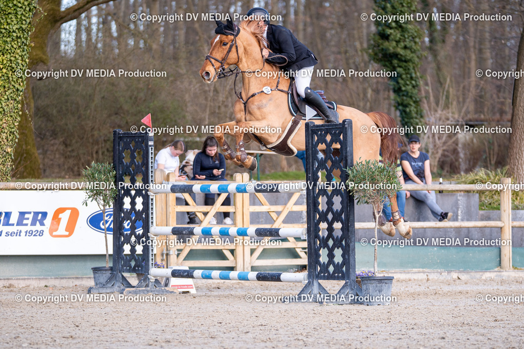 Kranichstein Tag 2-0935 | dv-media-shop - Realisiert mit Pictrs.com