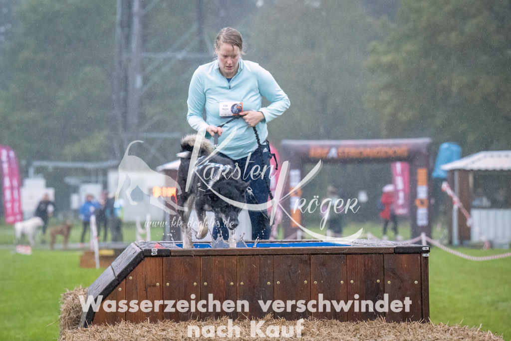 0913-_ZZ93578-Bearbeitet | kk-dogfotos