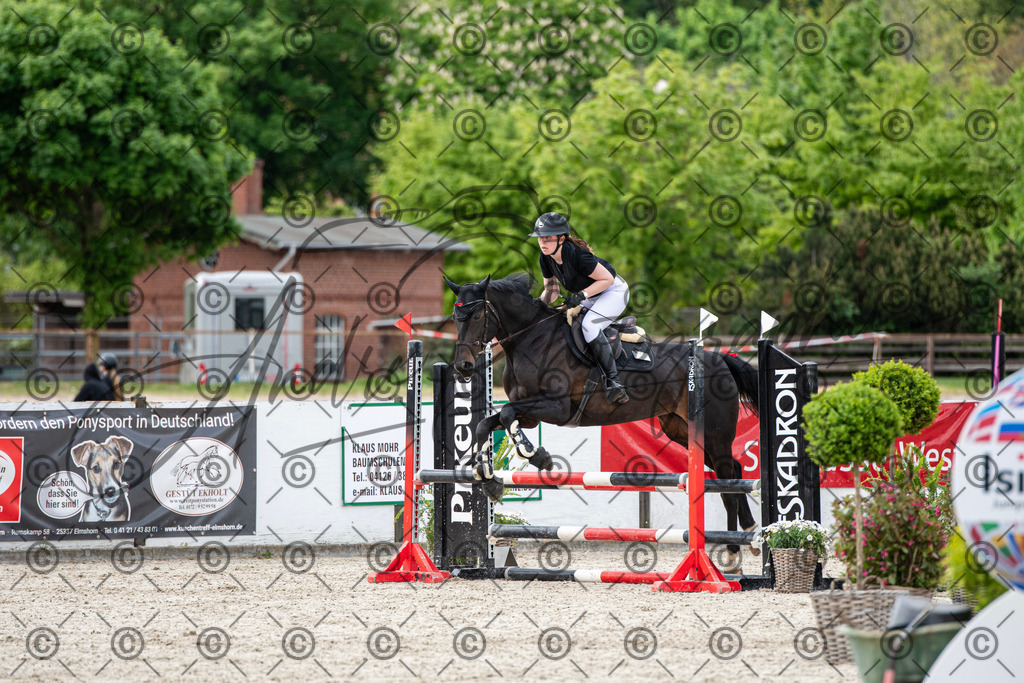 KPT_6866 | andre_photographic