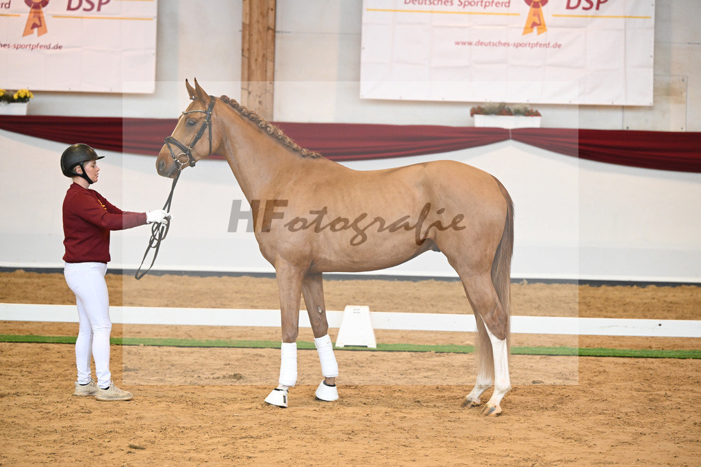 Kat-Nr. 56 v. Vivaldos_Fischer_66220825 | hf-fotografie - Realisiert mit Pictrs.com