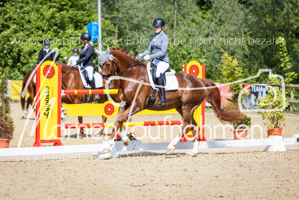 Donop24-L-Dre-040 | MomenTaufnahmen Pferdesportfotos