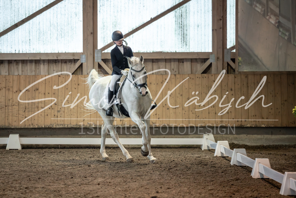 20251011-_3LI5825 | Tierfotografie Pferde, Hunde, Katzen, Haustiere.
Turnierfotografie Reitturniere, Reiten, Springreiten, Dressur in Hanau, dem Main-Kinzig-Kreis und dem Rhein-Main- Gebiet um Frankfurt