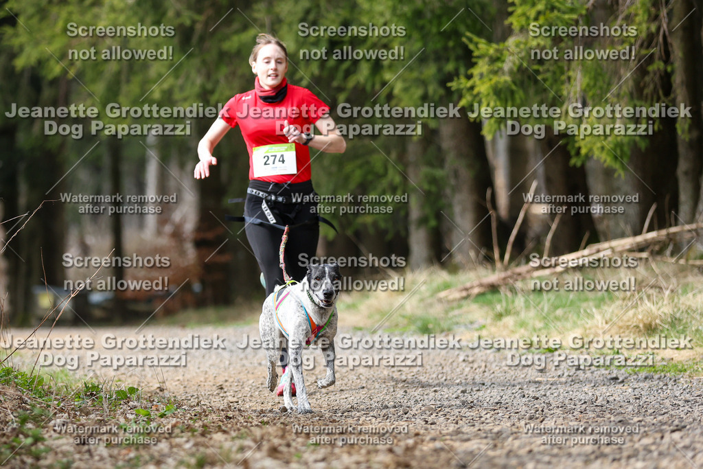 Dog Paparazzi - VCC26-403 | Dog Paparazzi Jeanette Grottendiek Fotografie & Videografie - Realisiert mit Pictrs.com