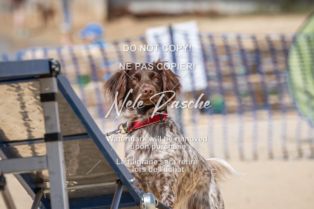 nelerasche_saBeachility_569 | nelerasche
