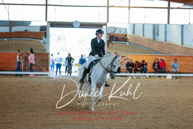 _62_7551 | Turniersportfotografie; Pferdefotografie; Dressurfotografie