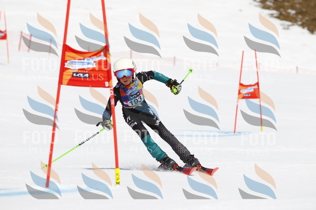 _U3G5059 | holidayphoto