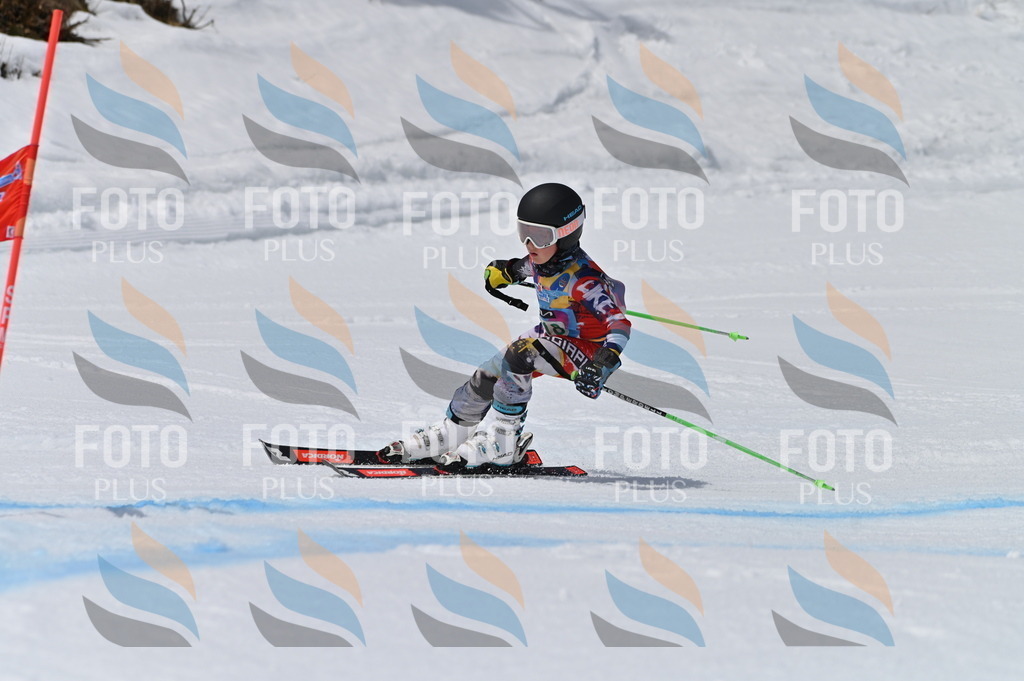 BGV_6295 | holidayphoto