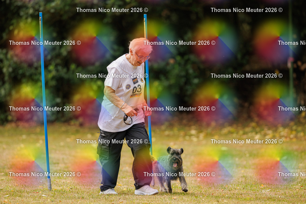 Thomas_Nico_Meuter(C)_22. August 2026_223A2237 | Bild von Thomas Nico Meuter - Realisiert mit Pictrs.com