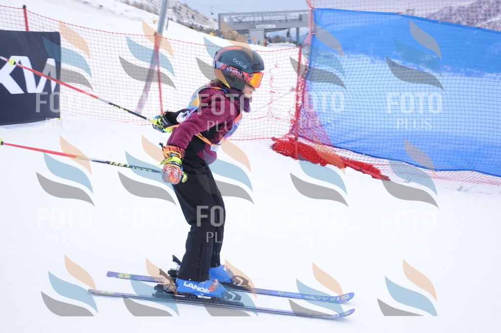 DSC_7966 | holidayphoto