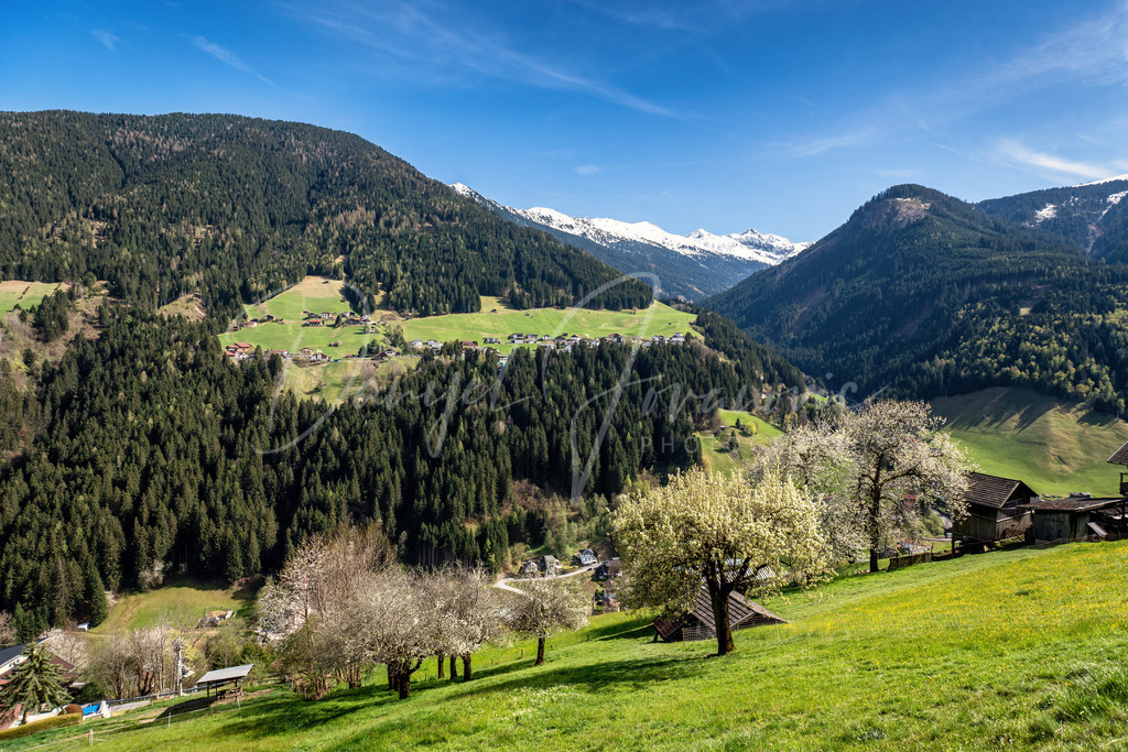 Frühling | hoch über dem Sellraintal