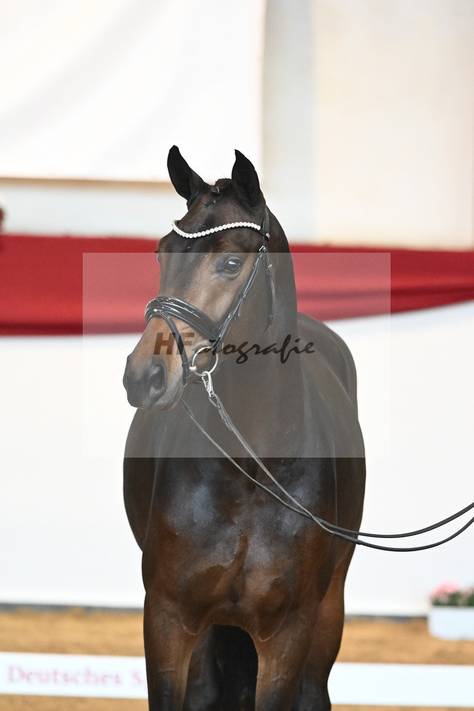 Kat-Nr. 30 For Dance x Florestan I_Fischer_43230595 | hf-fotografie - Realisiert mit Pictrs.com