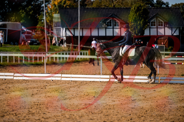2026_10_03_Siefer-Hof_120052_Z63_32475503 | Professionelle Reitsport-, Turnier- und Eventfotografie von Robert Broda. Galerien mit ausgewählten und bearbeiteten Bildern direkt online ansehen und bestellen.