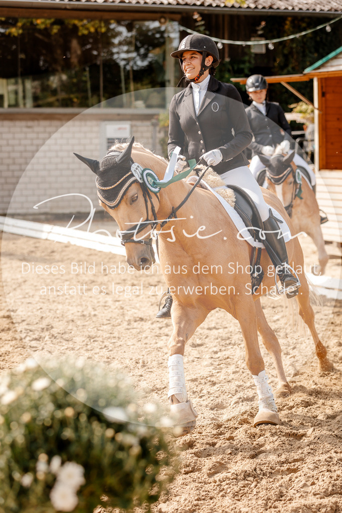 3I6A4565 | Stimmungsvolle Portraits und Reitsportfotografie im Ruhrgebiet und im Münsterland.

Pferdefotografie, Hundefotografie, Tierfotografie, Reportagen, Portraits von Tier und Mensch, Turnierfotografie in Bochum, Recklinghausen, Marl, Haltern am See, Dülmen.. - Realisiert mit Pictrs.com