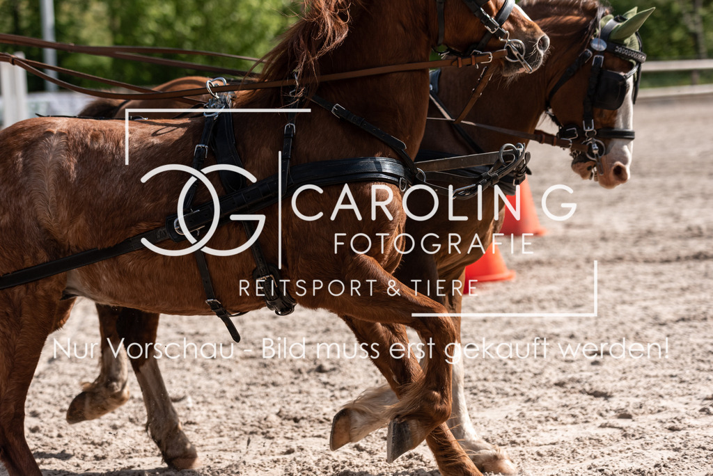 DSC_2254 | Turnierfotografin Carolin Gieschke, Turnierfotografie Carolin G Fotografie, Turnierfotos Kirchheim/Teck, Esslingen, Stuttgart, Bodenseekreis
