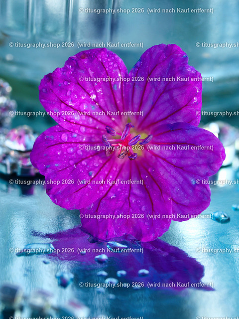 titusgraphy_P6280513-vz-ln | titusgraphy-shop: Geschenkideen mit Qualitätsfotos. titusgraphy-shop: gift ideas with quality photos. titusgraphy-shop: idées cadeaux avec photos de qualité.  - Realisiert mit Pictrs.com