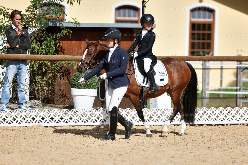 01--Ponyführzügel -StoibPH-6669 | working equitationturnier fotograf videograf stoibphotography marixx film working equitation deutschland reitsport turnierfotografie eventfotografie equestrian events