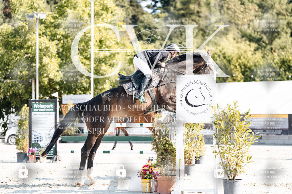 CK901903 | Turnierfotografie Pferdefotografie Trier Rheinland-Pfalz Pferdesport Reitsport Tierfotografie Sportfotografie Pferdevideo Pferdevideografie Equestrianvideography equestrianphotography  - Realisiert mit Pictrs.com