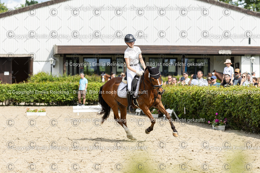 CL5A1401 | Emilia Reinking Fotografie - Realisiert mit Pictrs.com