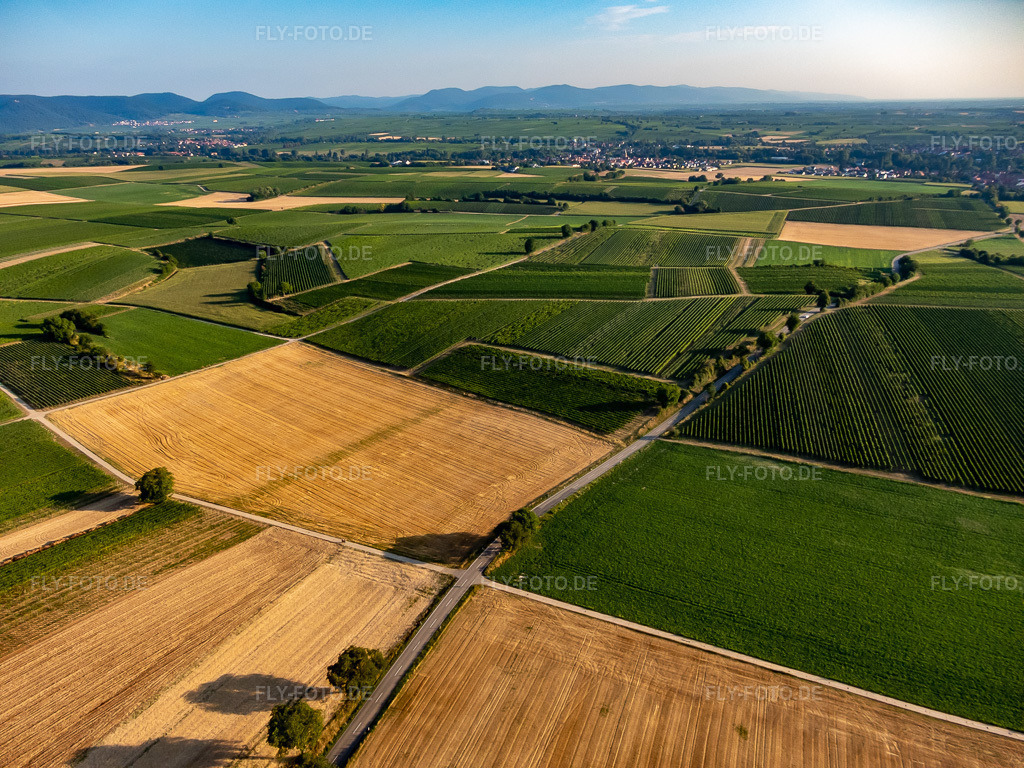 Luftbild: Felder und Weinberge um Billigheim im Ortsteil Ingenheim in Billigheim-Ingenheim im Bundesland Rheinland-Pfalz in Deutschland. Foto: P7300003.jpg vom 30.07.2022 durch Werner Riehm/FLY-FOTO.de