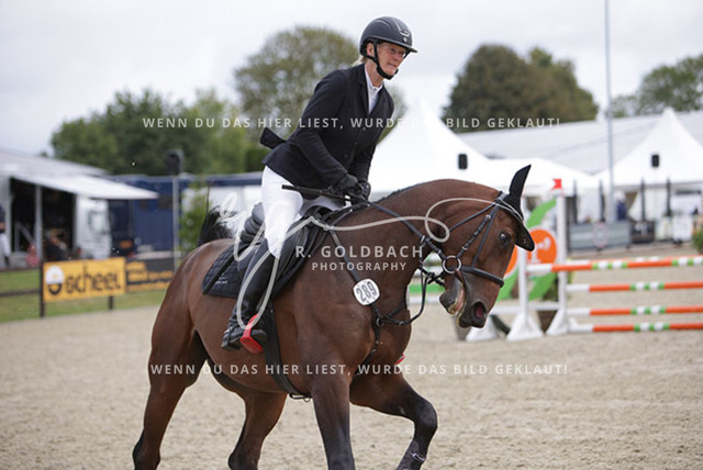 1J2A2193Britta Braunert_ Convolto PS_ Kn289_ Havekost | Foto- und Videografie für alles rund ums Pferd. Hochwertige Bilder und Videos vom Spring- und Dressurreiten, Voltigieren & mehr. Jetzt aktuelle Veranstaltungen und Preise im Shop ansehen. - Realisiert mit Pictrs.com